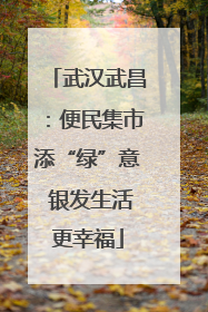 武汉武昌：便民集市添“绿”意 银发生活更幸福